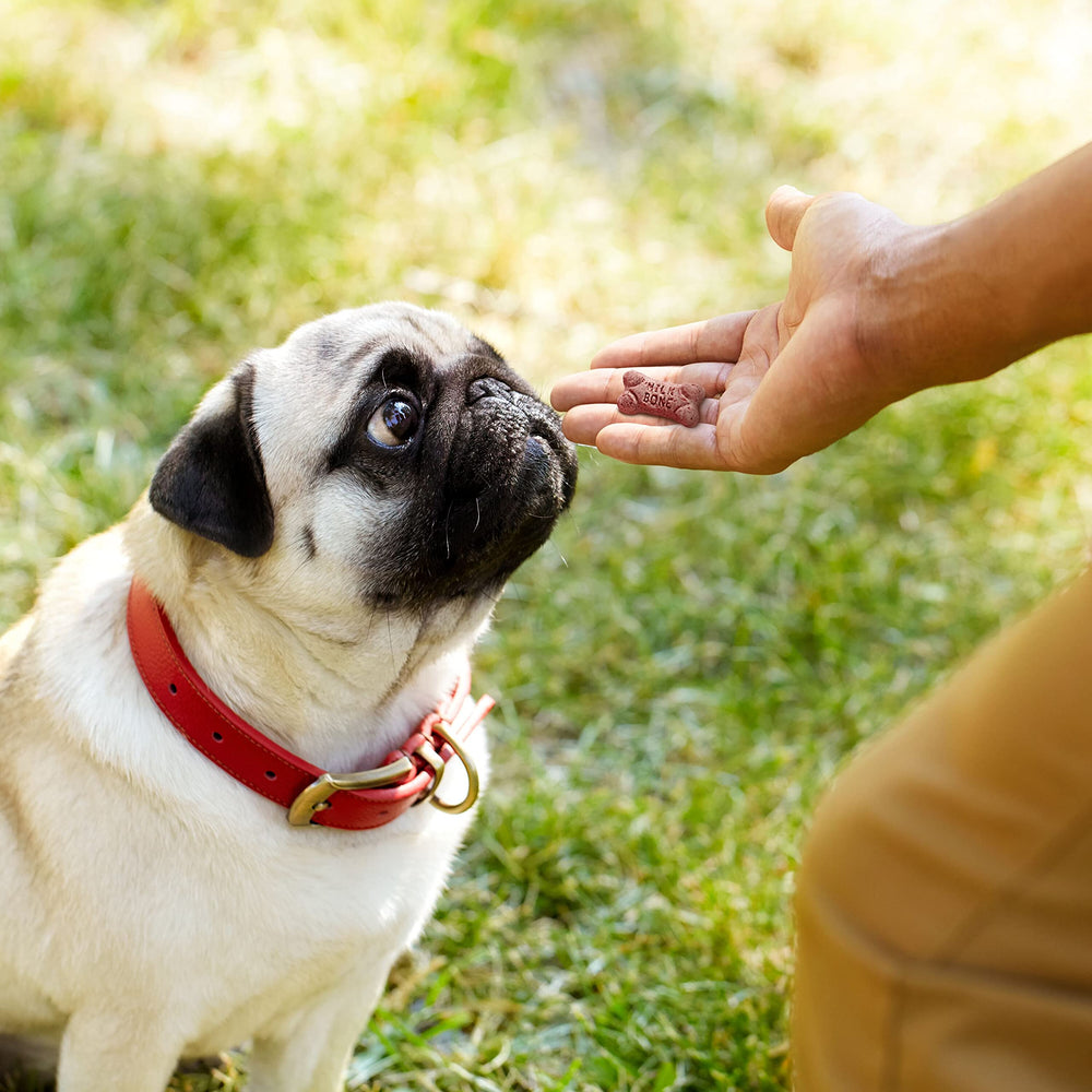 Milk-Bone Mini contient douze vitamines et minéraux pour un snack équilibré.