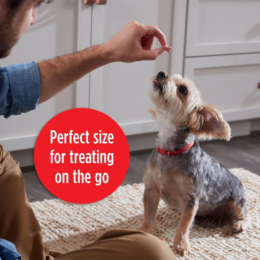 Milk-Bone Minis vitamines et minéraux – soutien nutritionnel quotidien
