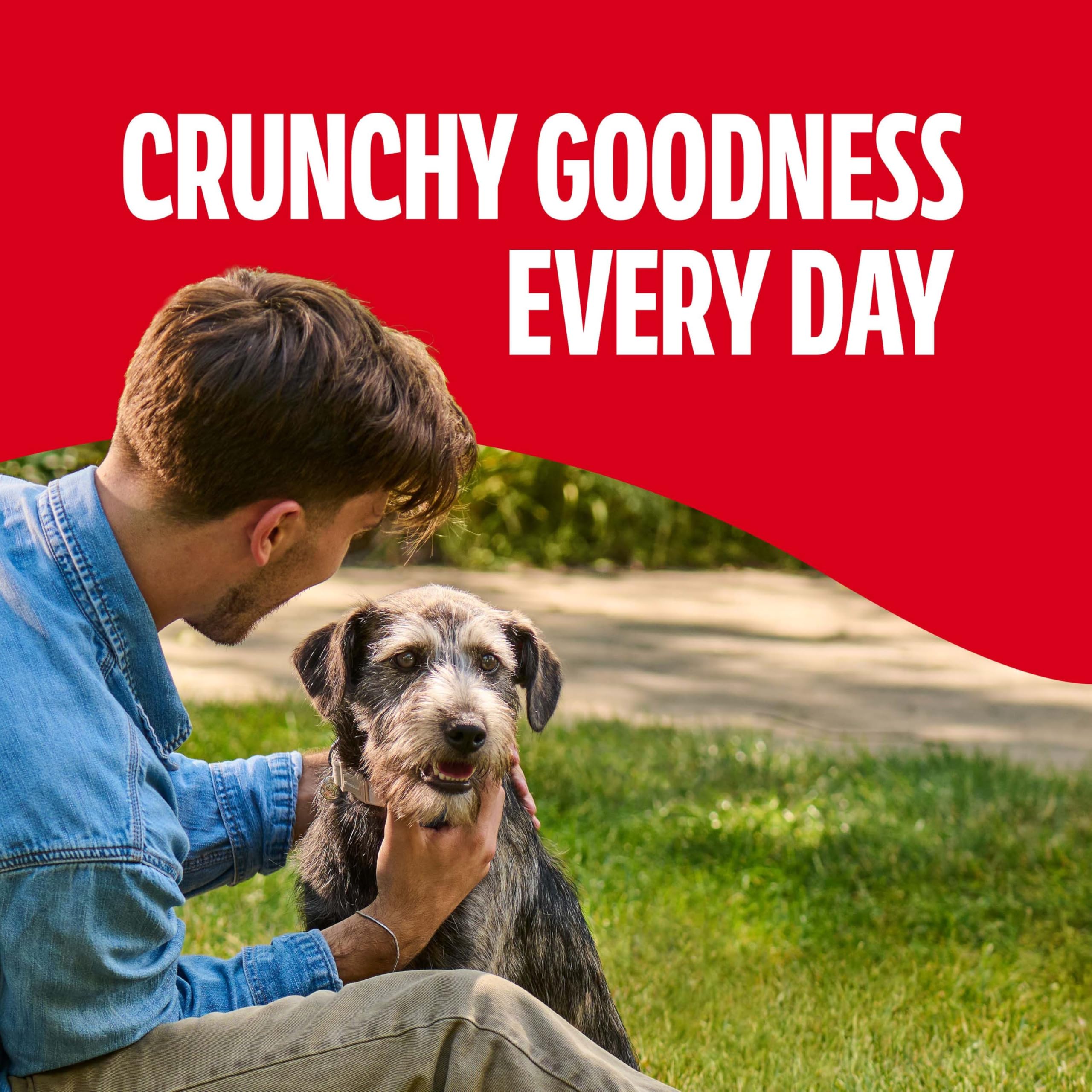 Milk-Bone Original Biscuits: protéines 15%, soutien nutritionnel.