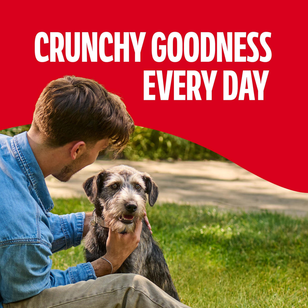 Milk-Bone Original Biscuits: protéines 15%, soutien nutritionnel.
