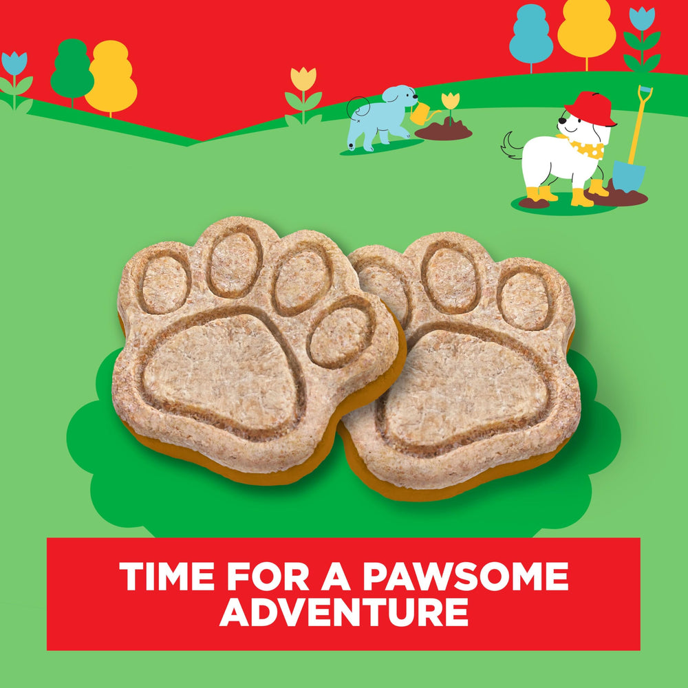 Milk-Bone paquet 10 onces, format pratique pour collations quotidiennes.