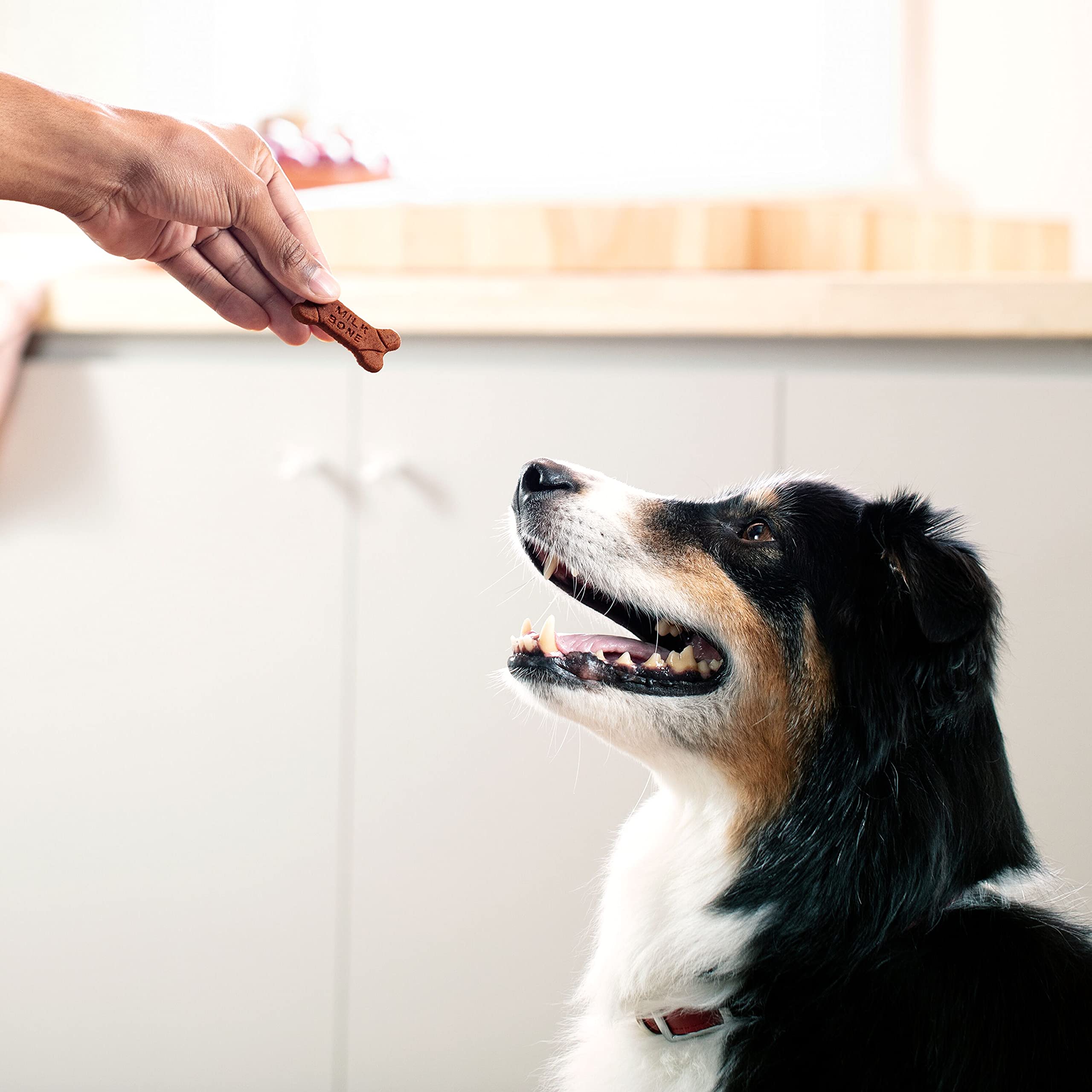 Récompense quotidienne Milk-Bone Soft & Chewy idéale après promenade.