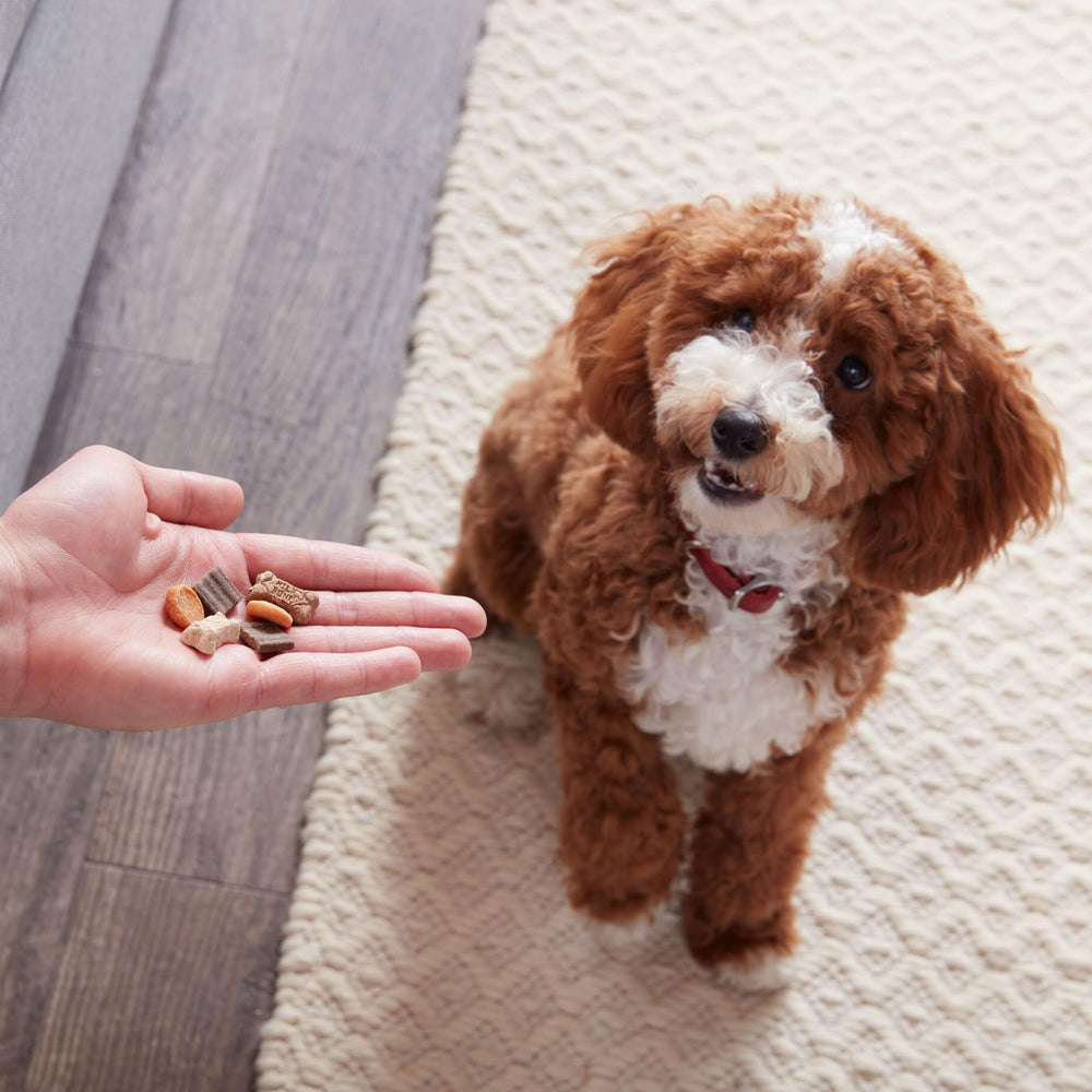 Sachet refermable Milk-Bone, parfait pour sorties et trajets.