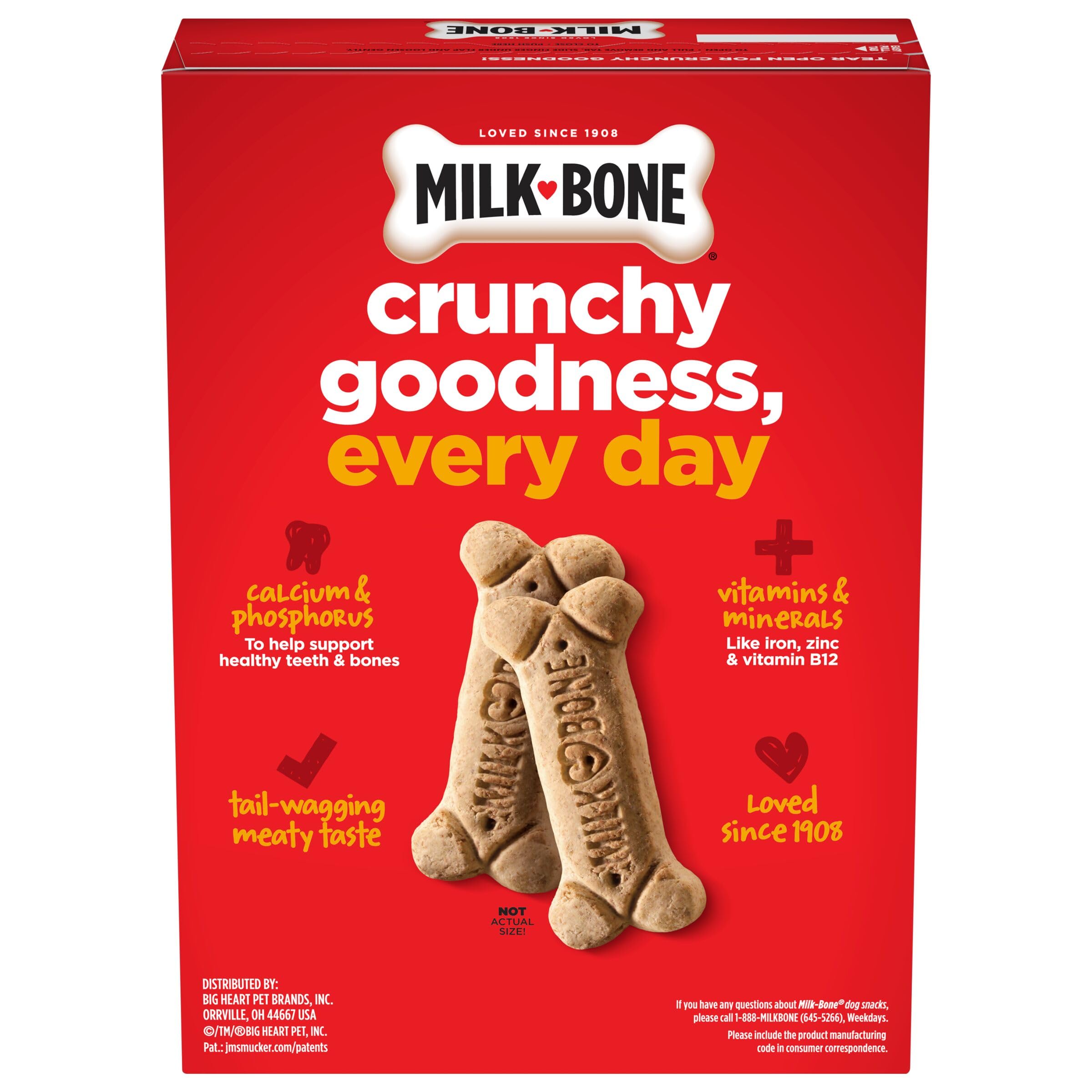 Biscuit Milk-Bone en gros plan pendant la mastication.