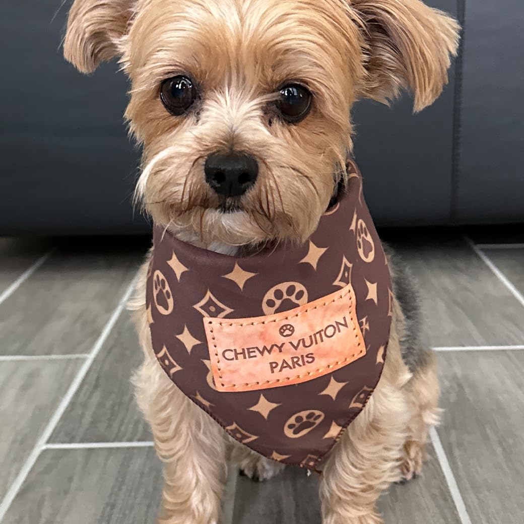 Bandana Millionaire Mutt aux couleurs vives pour un look chic lors des sorties.