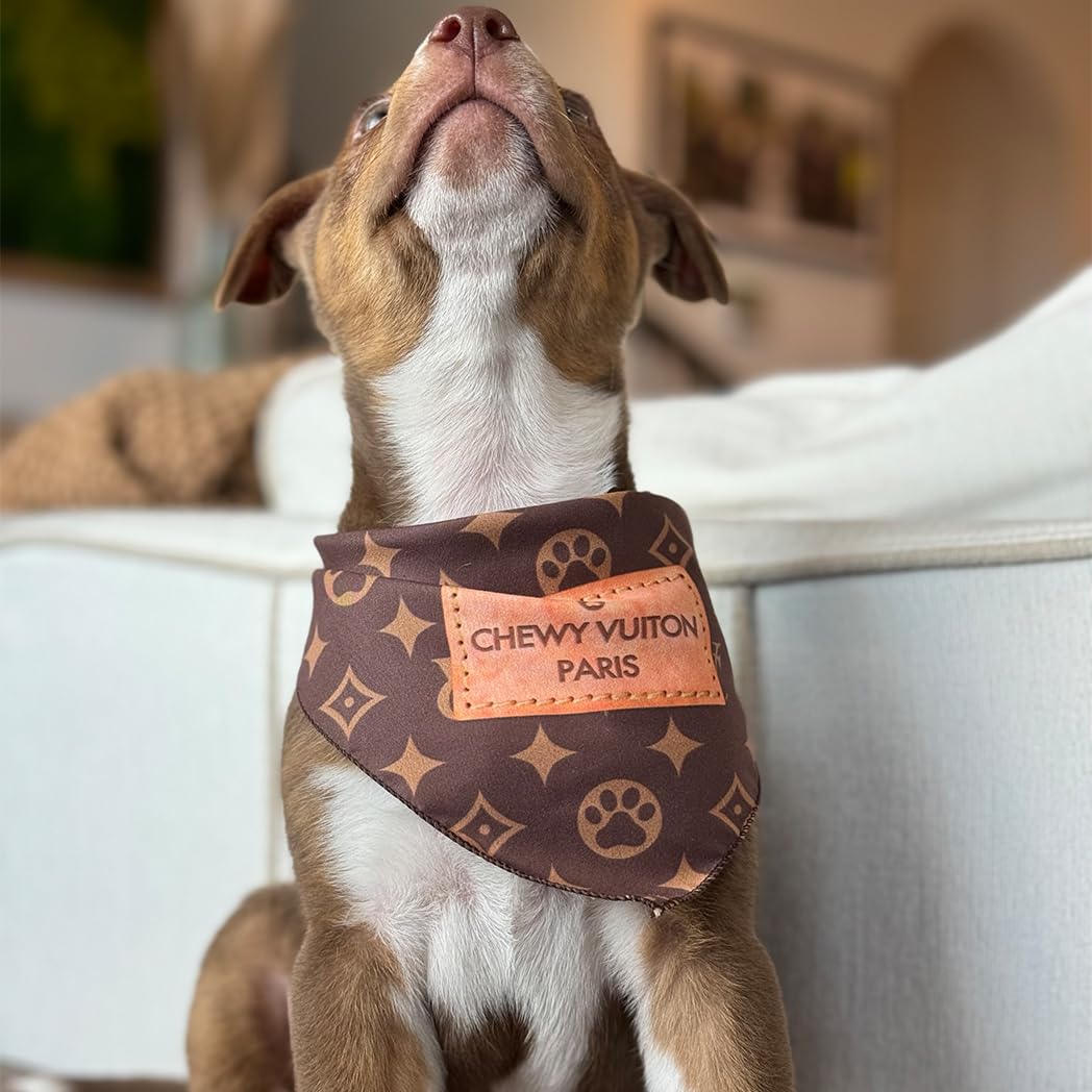 Couture canine en bandana Millionaire Mutt, impression sublimation élégante.