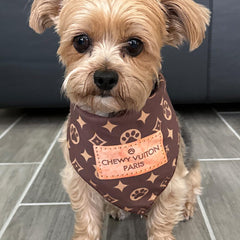 Bandana parody mode chien, Millionaire Mutt, couleurs vives et distinctives.