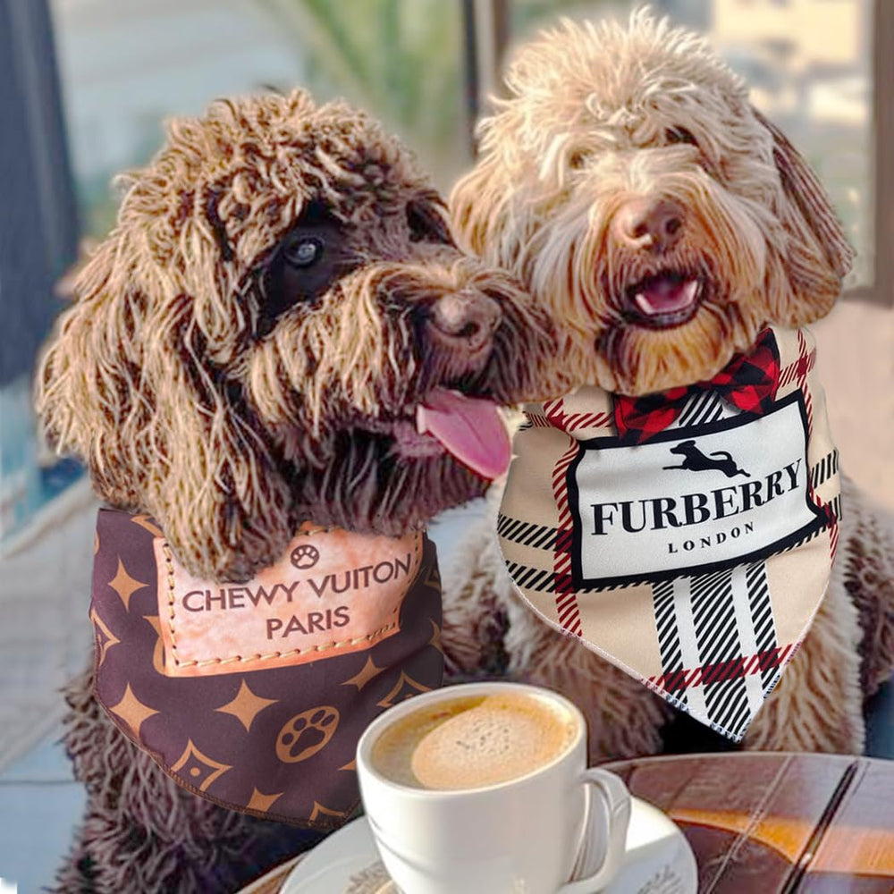 Accessoire tendance pour chiens, bandana Millionaire Mutt, photos et selfies.