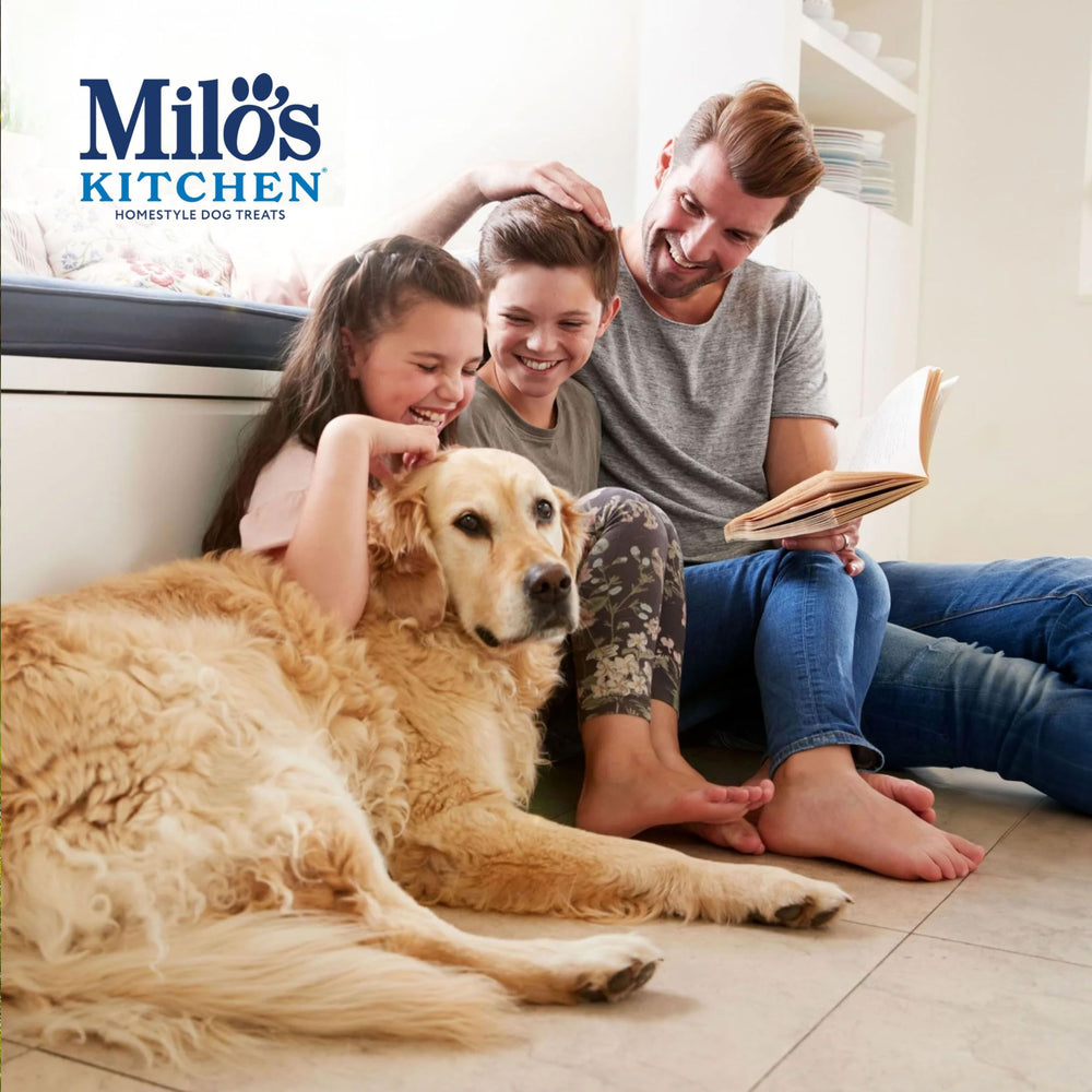 Milo's Kitchen jerky de poulet, portions pratiques pour l'entraînement.