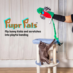 Manchon renforcé Pupr Pals Milunova protège des griffes.