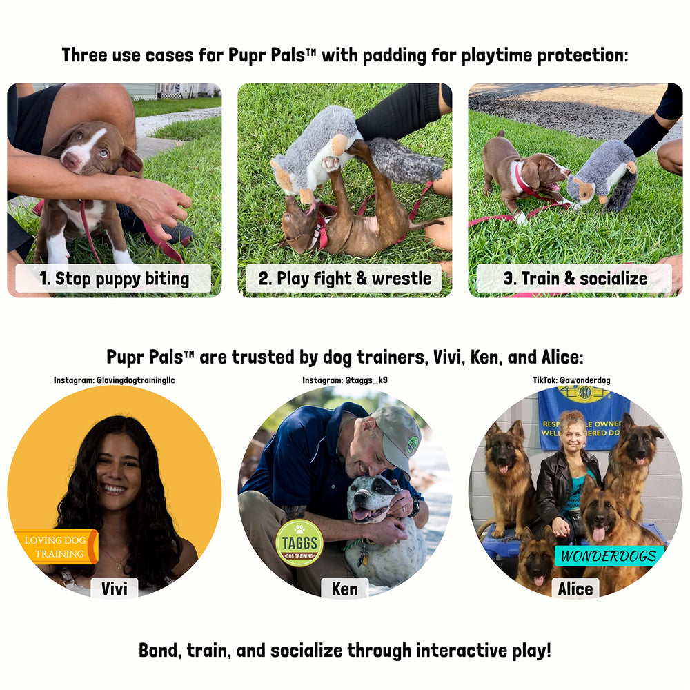 Milunova Pupr Pals, gorge avec sifflet caché, stimule l’instinct de proie du chien et du chat