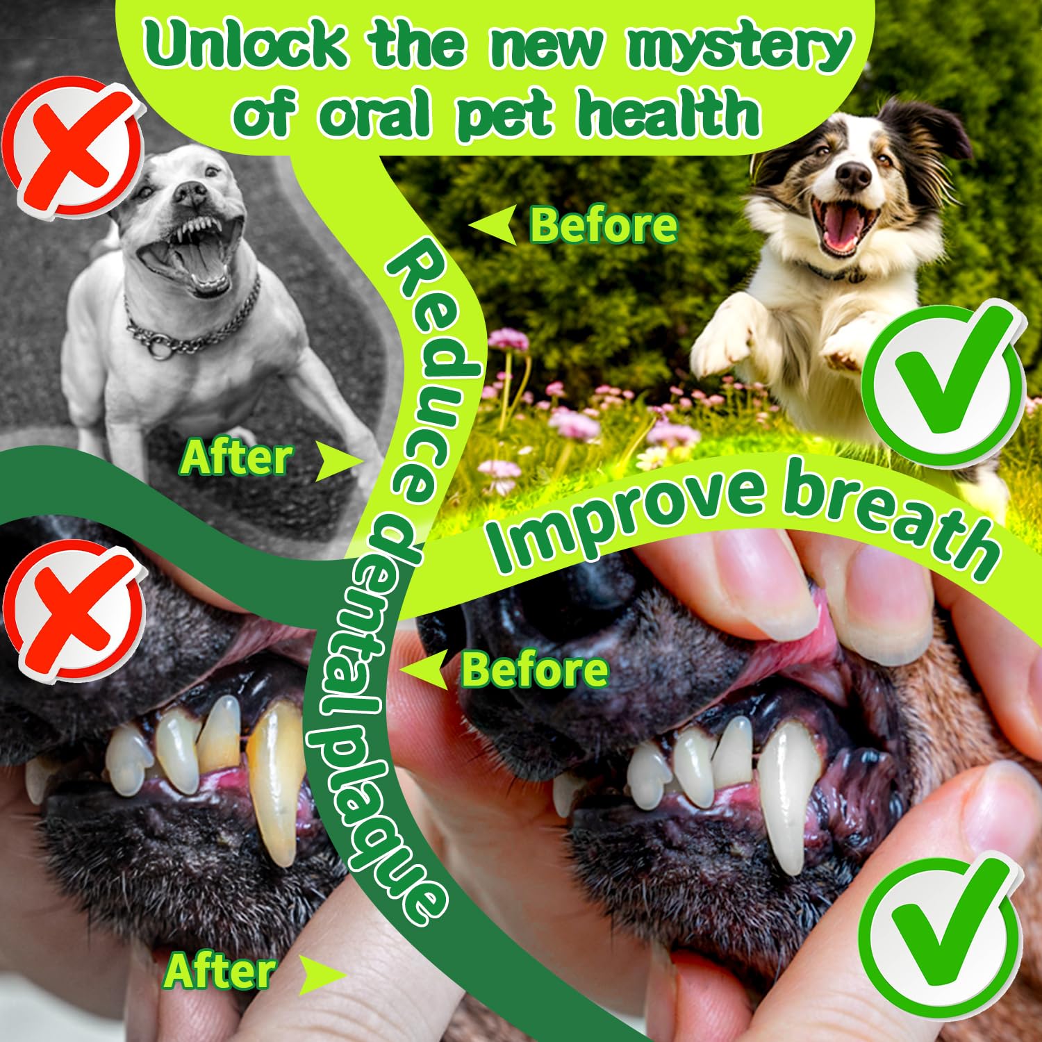 Mimo Style – saveur viande facilite l'acceptation du soin dentaire par le chien.