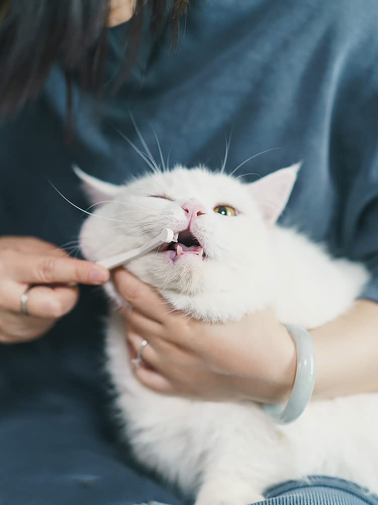 Brins doux MIND UP préservent gencives et dentition lors du brossage.