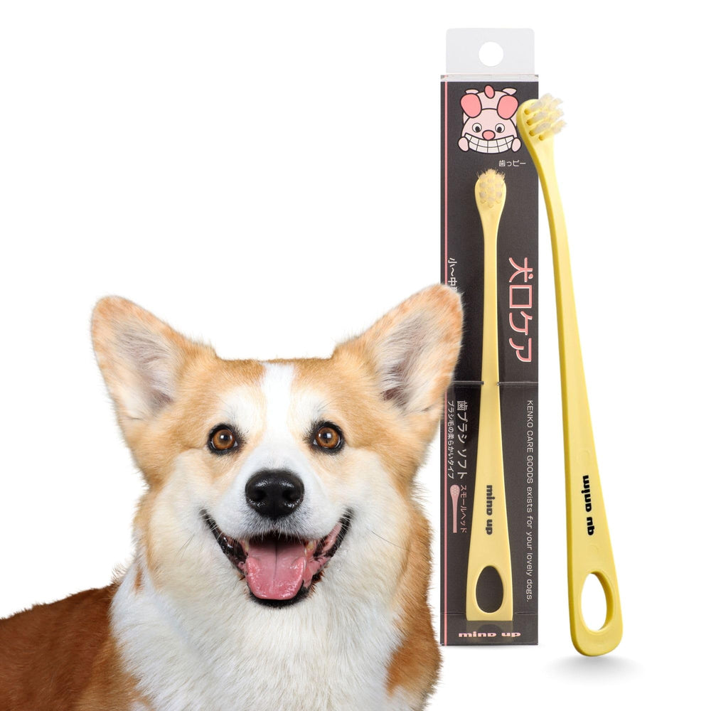 Brosse MIND UP pour chien avec angle de 15° facilitant le brossage.