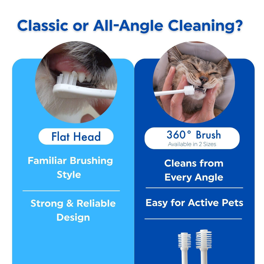 Brosse MIND UP adaptée au soin quotidien des chiens.