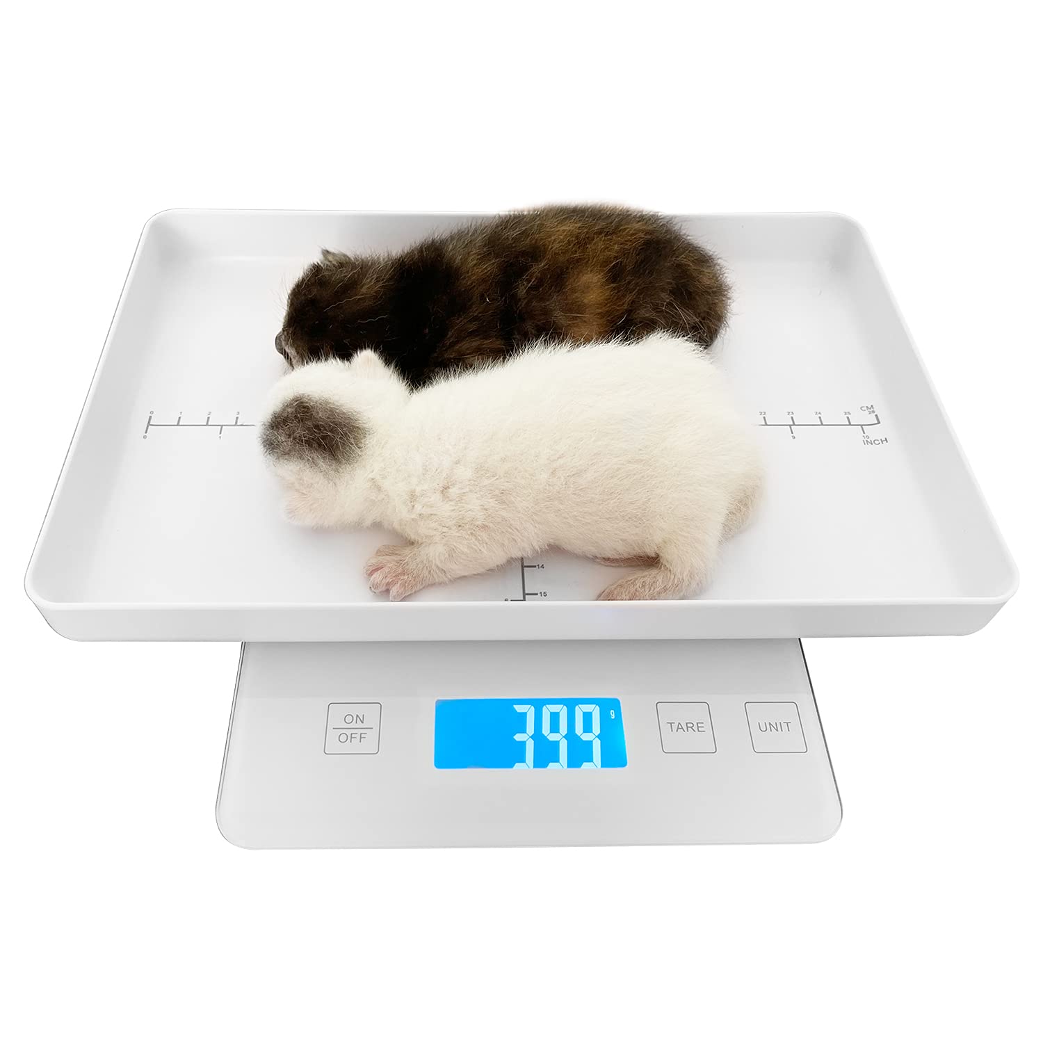Balance numérique MINDPET-MED avec écran LCD pour petits animaux