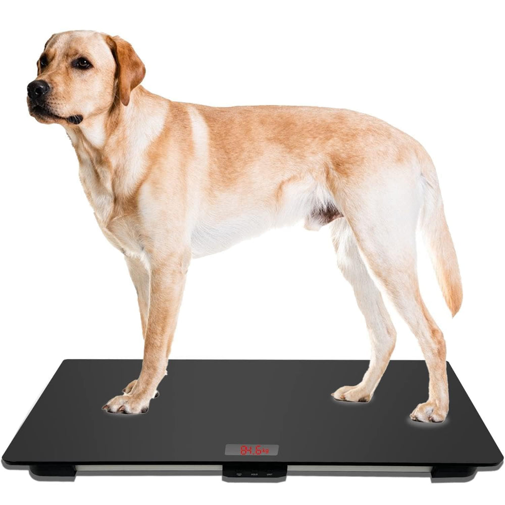 Balance MindPet-Med pour chien grand, pesage précis et confortable.