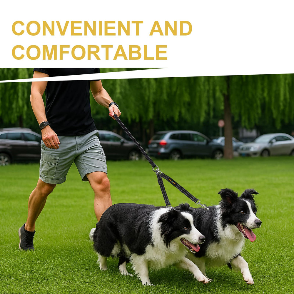 Attache separateur MingXpets pour controler deux chiens sans compromis.