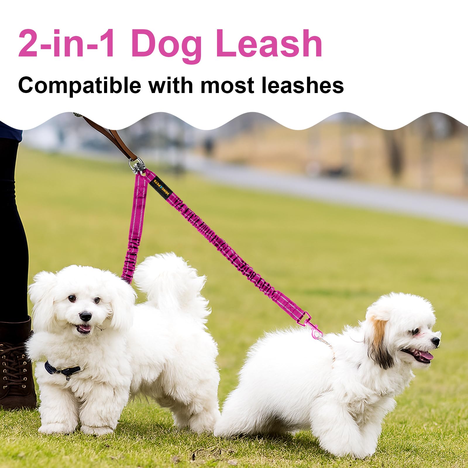 MingXpets nettoyage-facile-double-leash idéal pour l'usage quotidien.