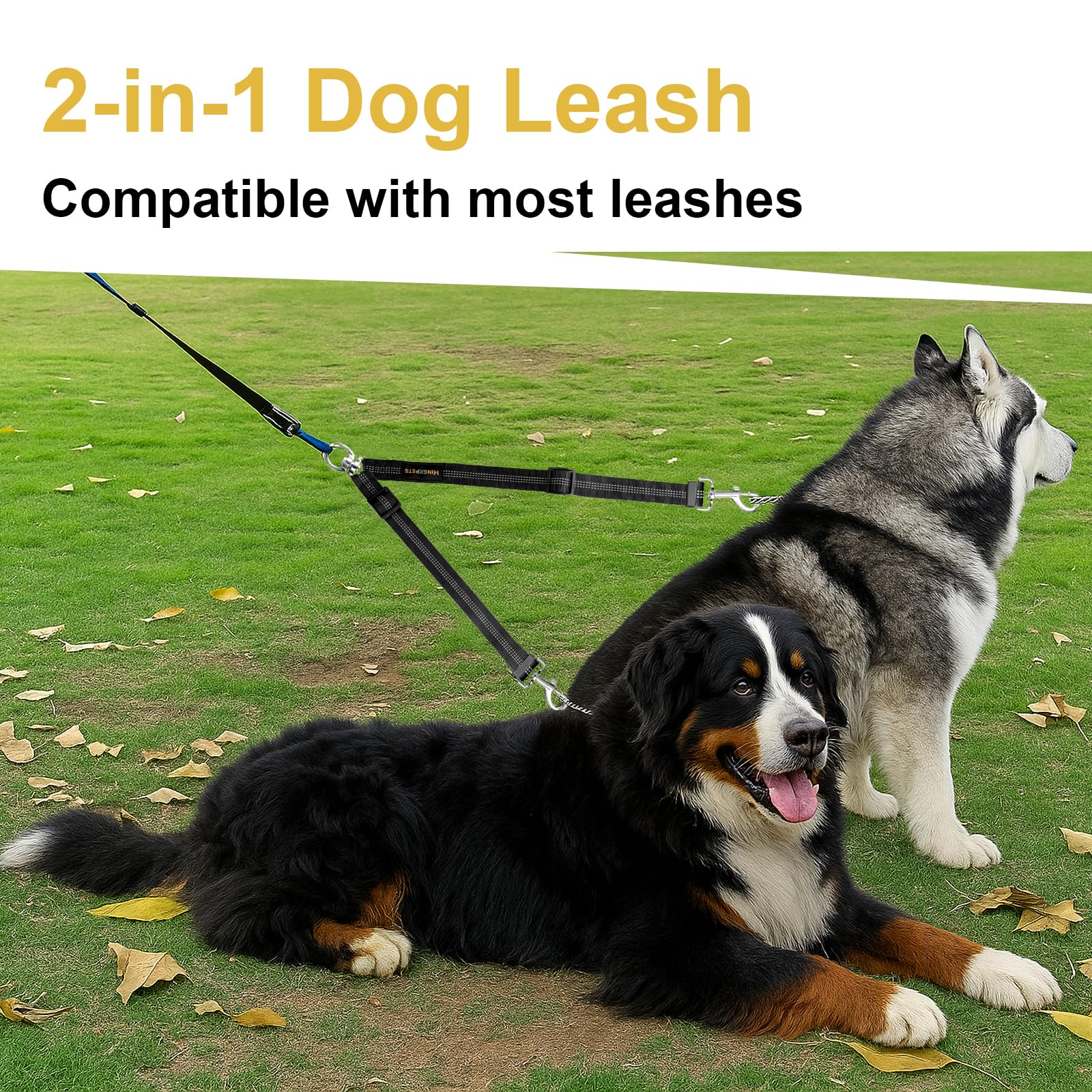 Utilisation facile pour deux chiens en balade et entraînement
