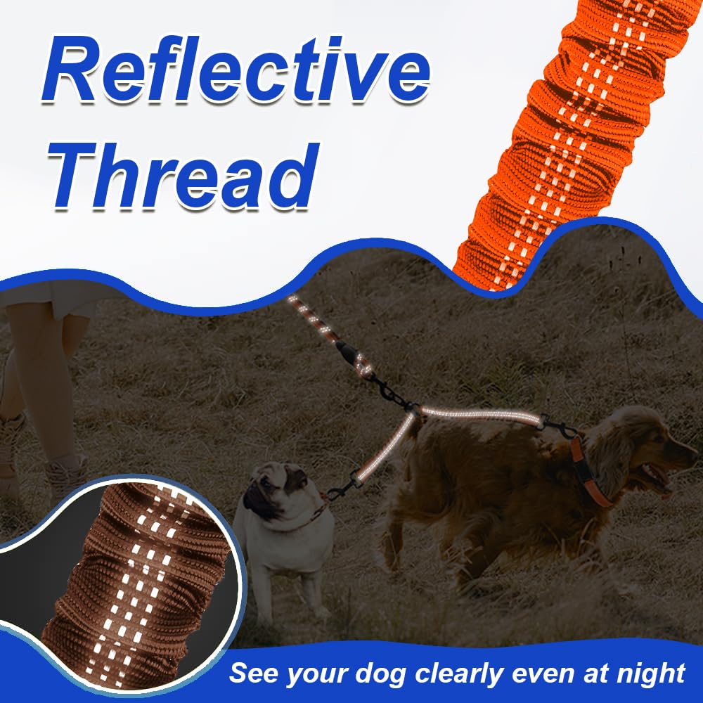MingXpets visibilite-nocturne-amelioree, chiens visibles la nuit.