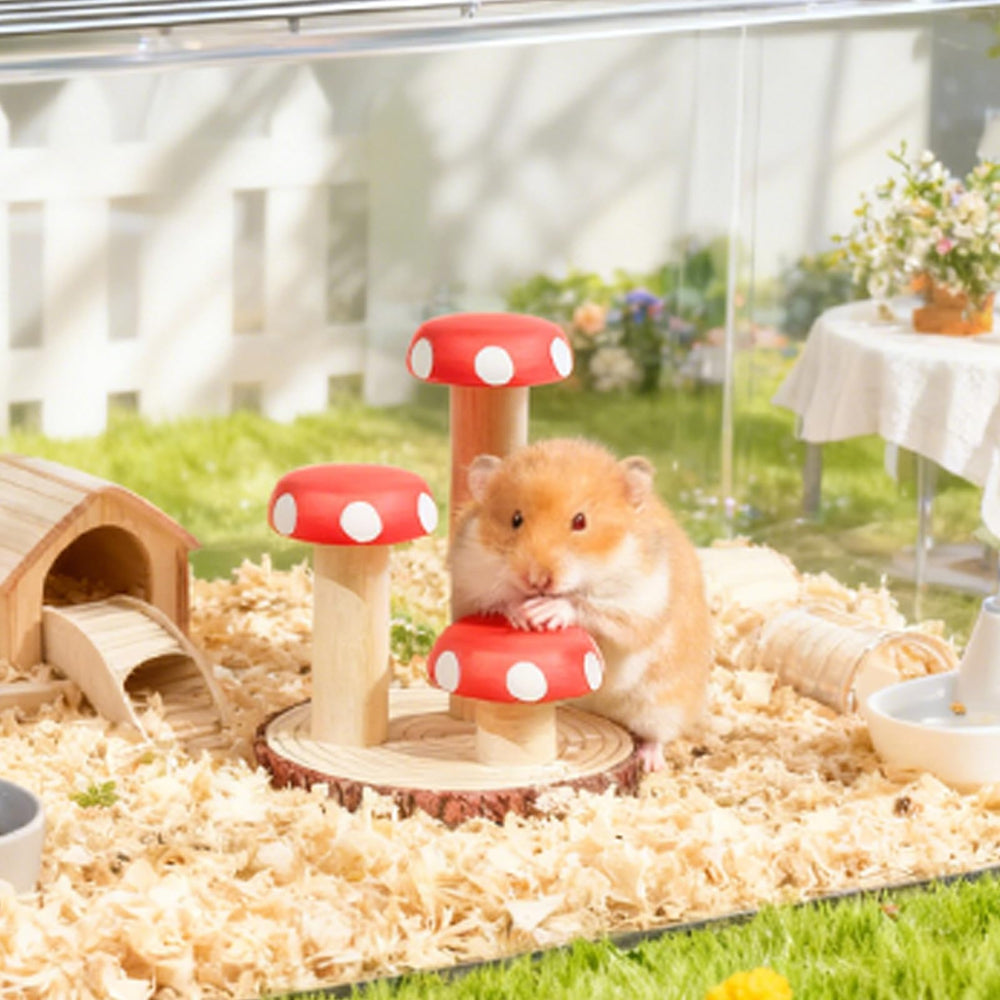 Mini&Moe escalier pour habitat, accessoire pratique pour petits animaux.