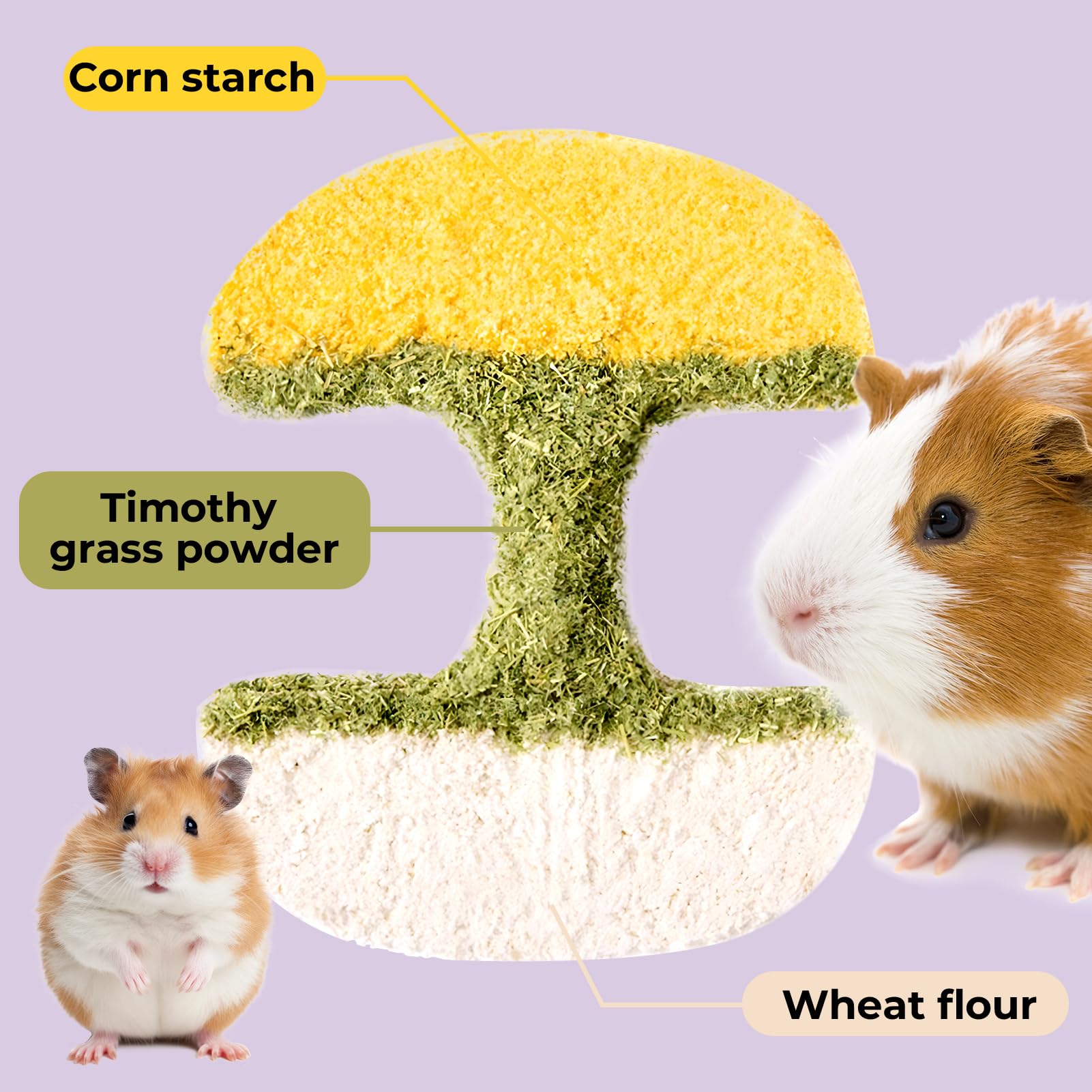 mini&moe-enrichissement-multifonctions: décor de cage et snack stimulant pour l’activité.