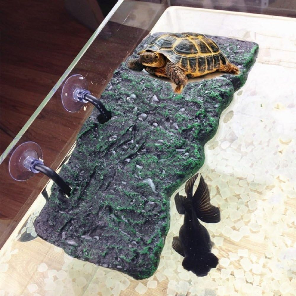 Minidiva décor d'aquarium naturel et durable pour reptiles de petites tailles.
