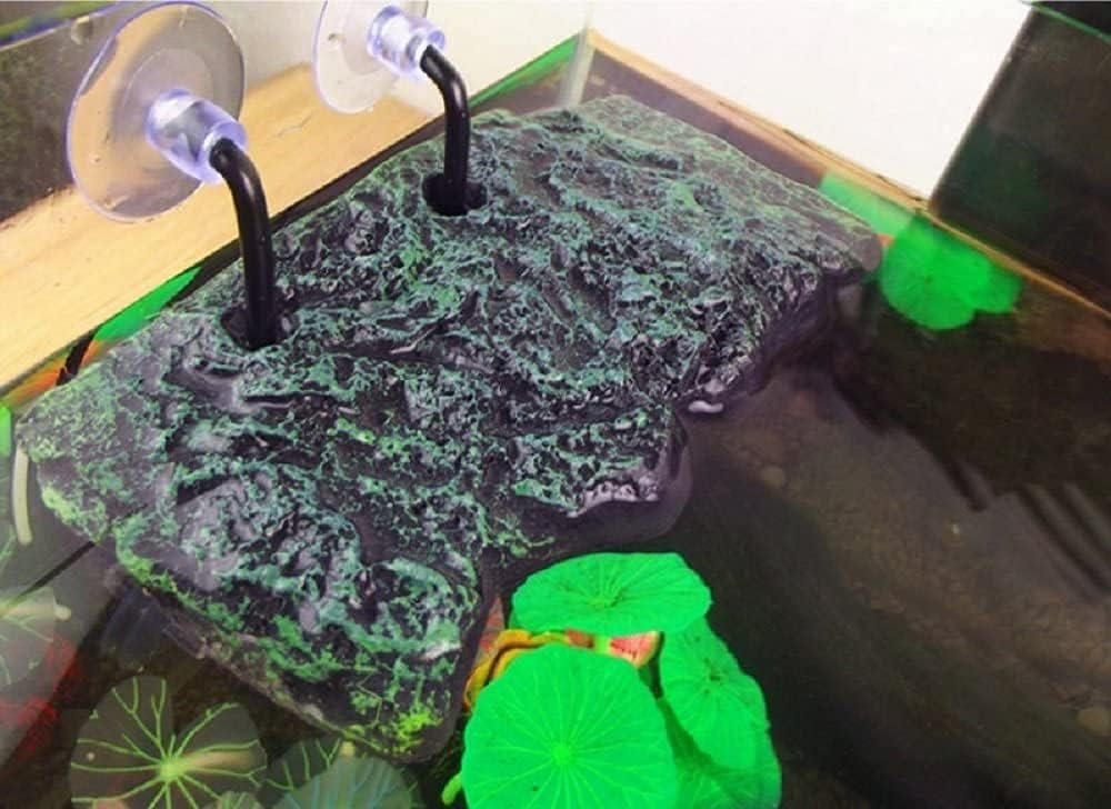 Minidiva Ventouses-robustes: fixation fiable au fond de l'aquarium.