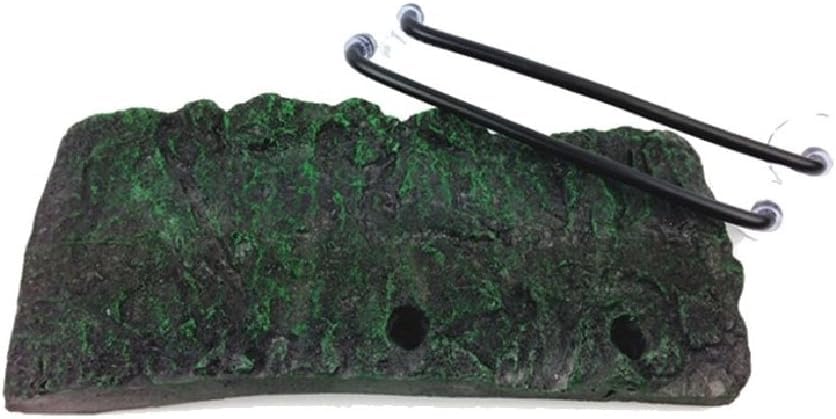 Minidiva zone de baignade tortue adaptée pour petits reptiles.