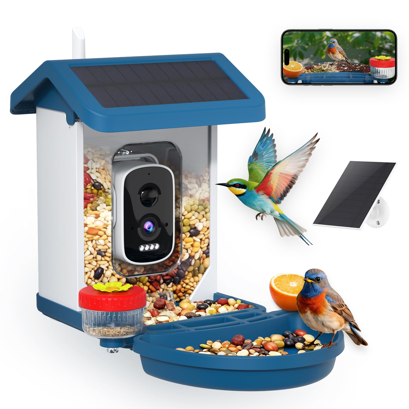 Mangeoire MINIXTEC avec caméra 4K installée dans le jardin pour observer les oiseaux.