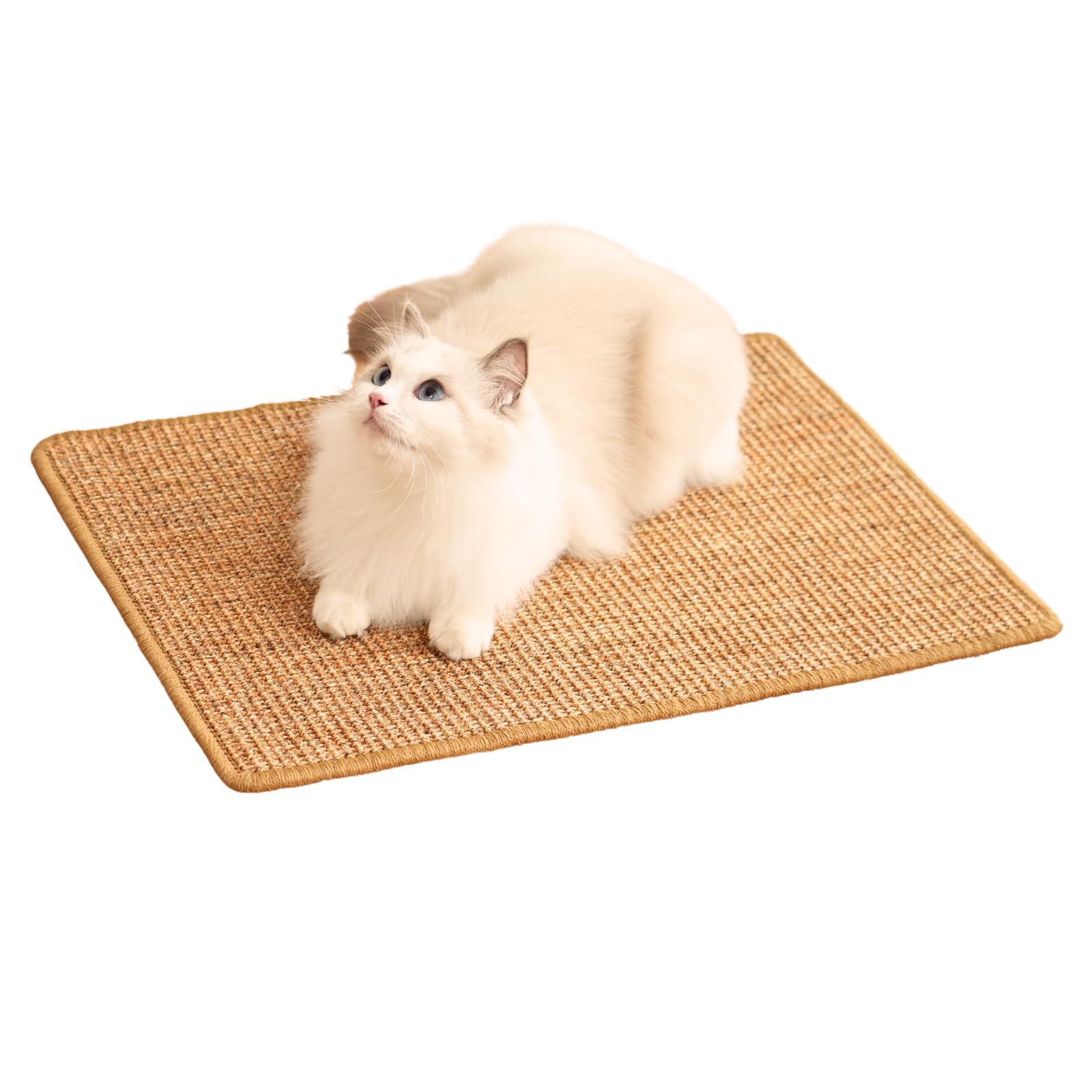 Minni-Goods tapis-grattoir chat sisal marron 60x40, protège meubles durablement.