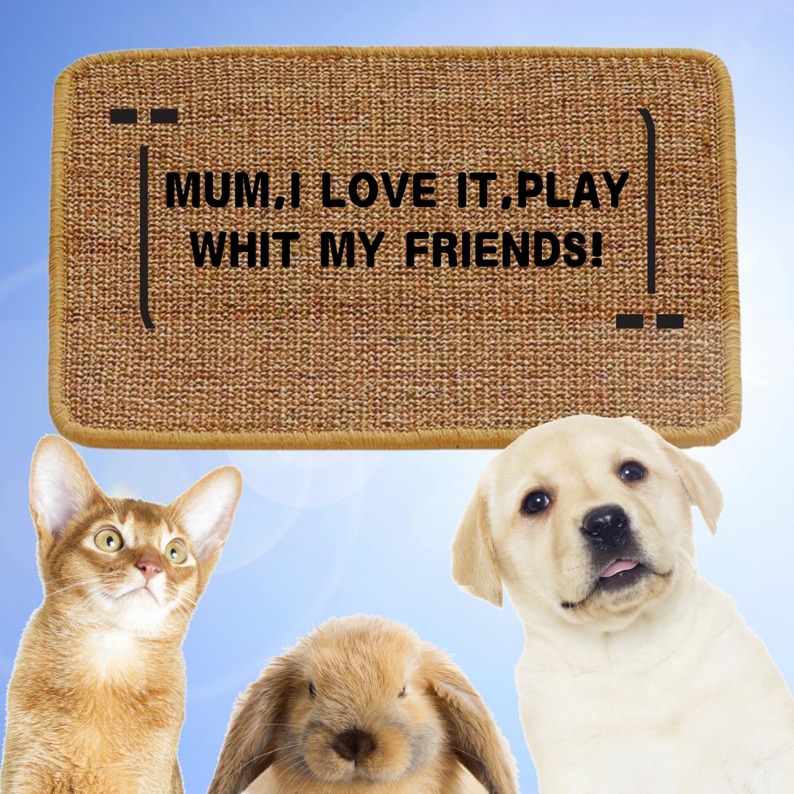 Minni-Goods tapis-grattoir chat, format 60x40 cm pour grands espaces.