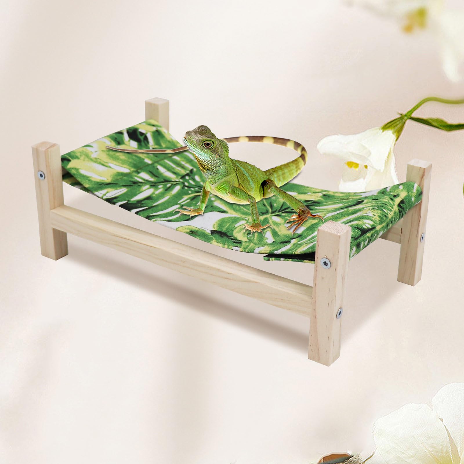 Ambiance terrarium naturelle avec accessoire MinrzPet.