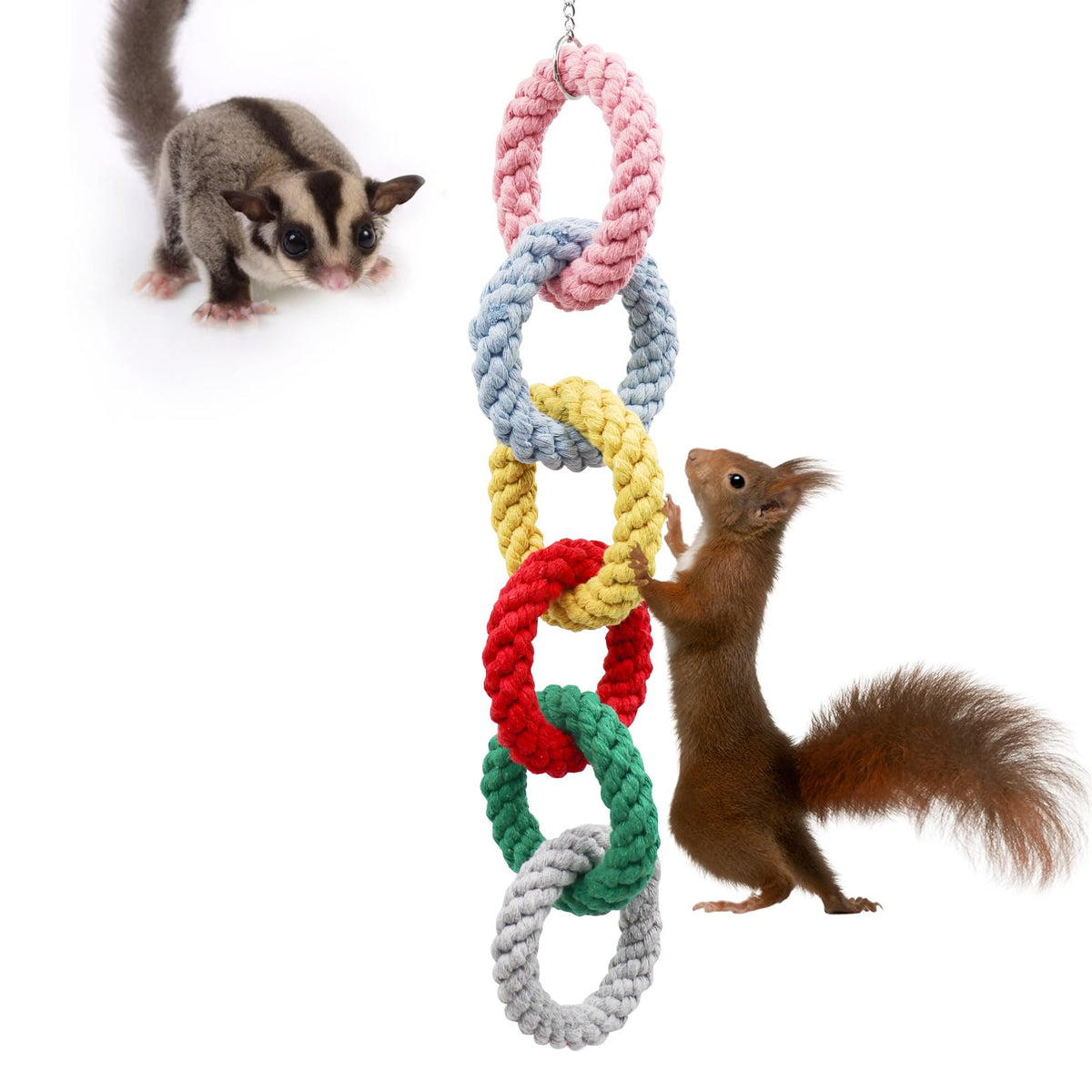 MinrzPet anneau corde coton: stimule l'exercice quotidien des petits animaux en cage.