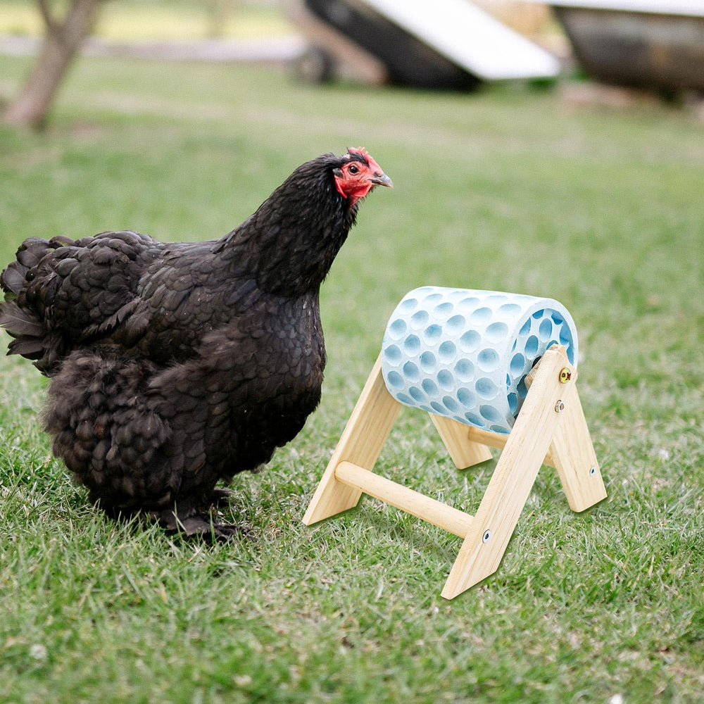 MinrzPet enrichissement poules et autres volailles pour occuper et divertir