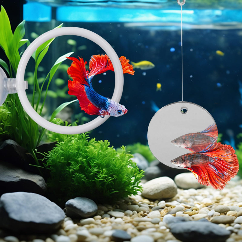 MinrzPet ensemble d enrichissement pour aquarium Betta, stimule l activité.