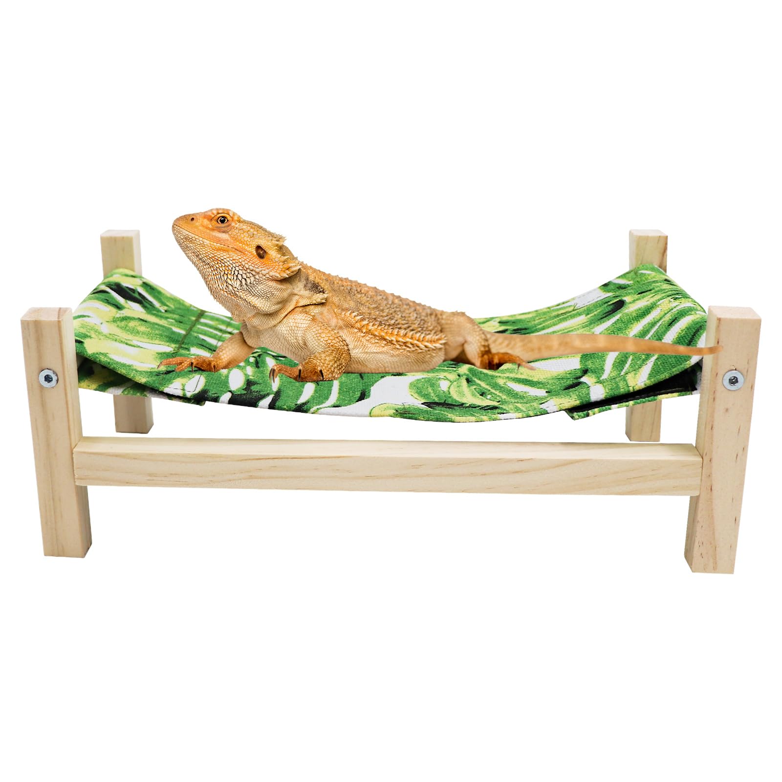Lit MinrzPet dragon barbu avec hamac en bois vert, repos doux.