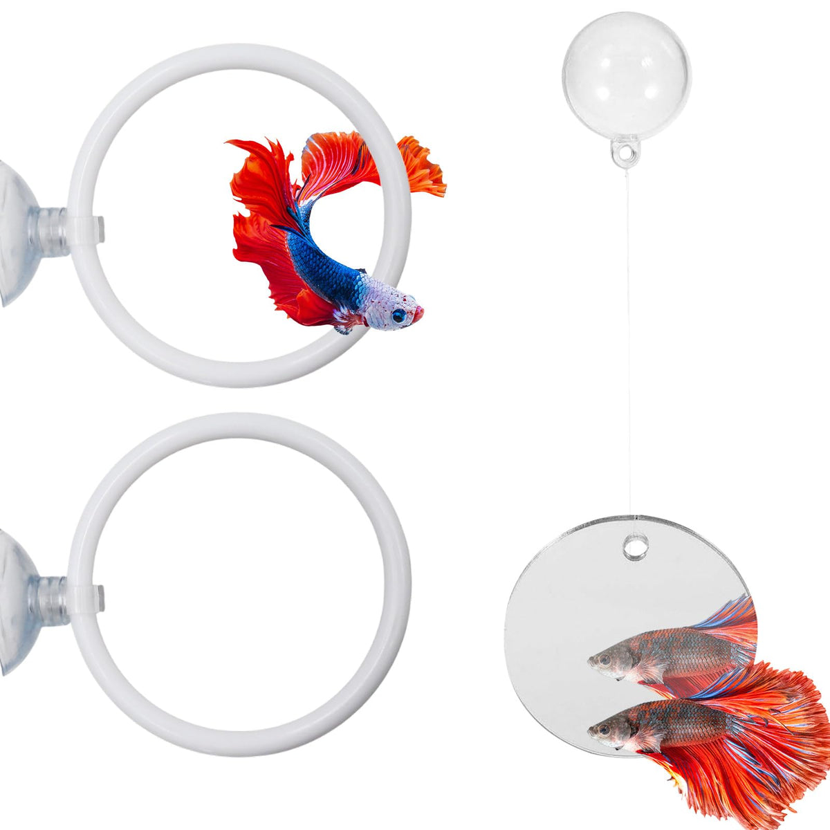 MinrzPet miroir flottant pour Betta, stimule l'exploration.