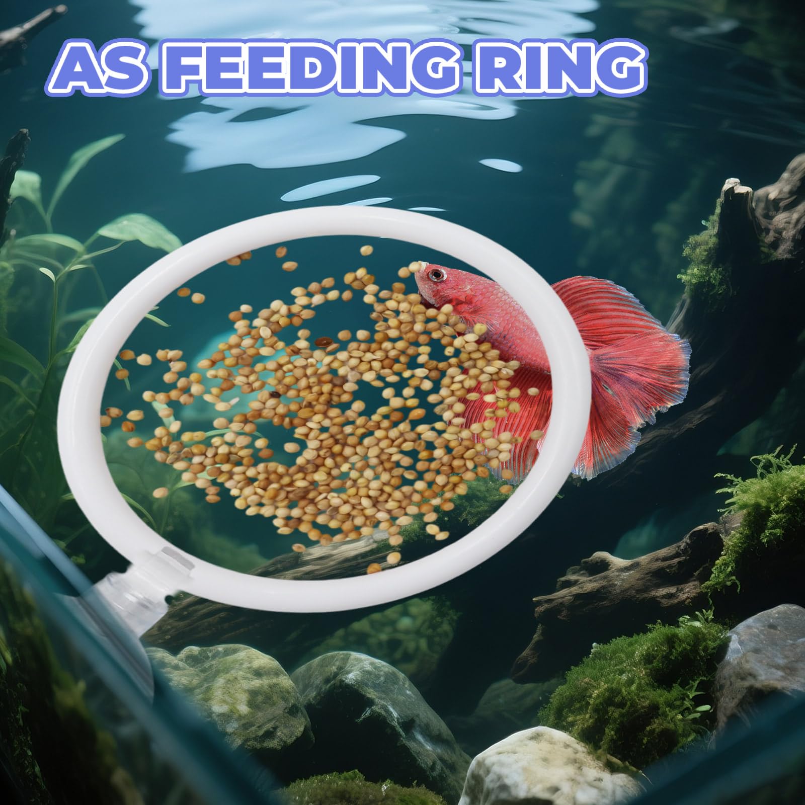 MinrzPet ventouses faciles à fixer sur la paroi de l aquarium.