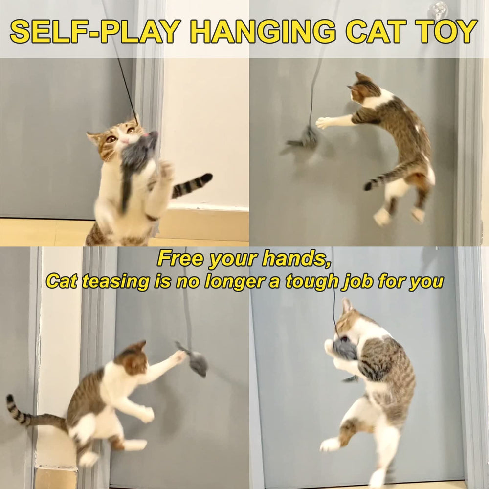 MintCat jouet chat pendu sur porte pour jeu autonome.