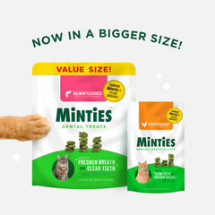  Minties Dentaires pour chats – bouchée crounante soutient l’hygiène buccale