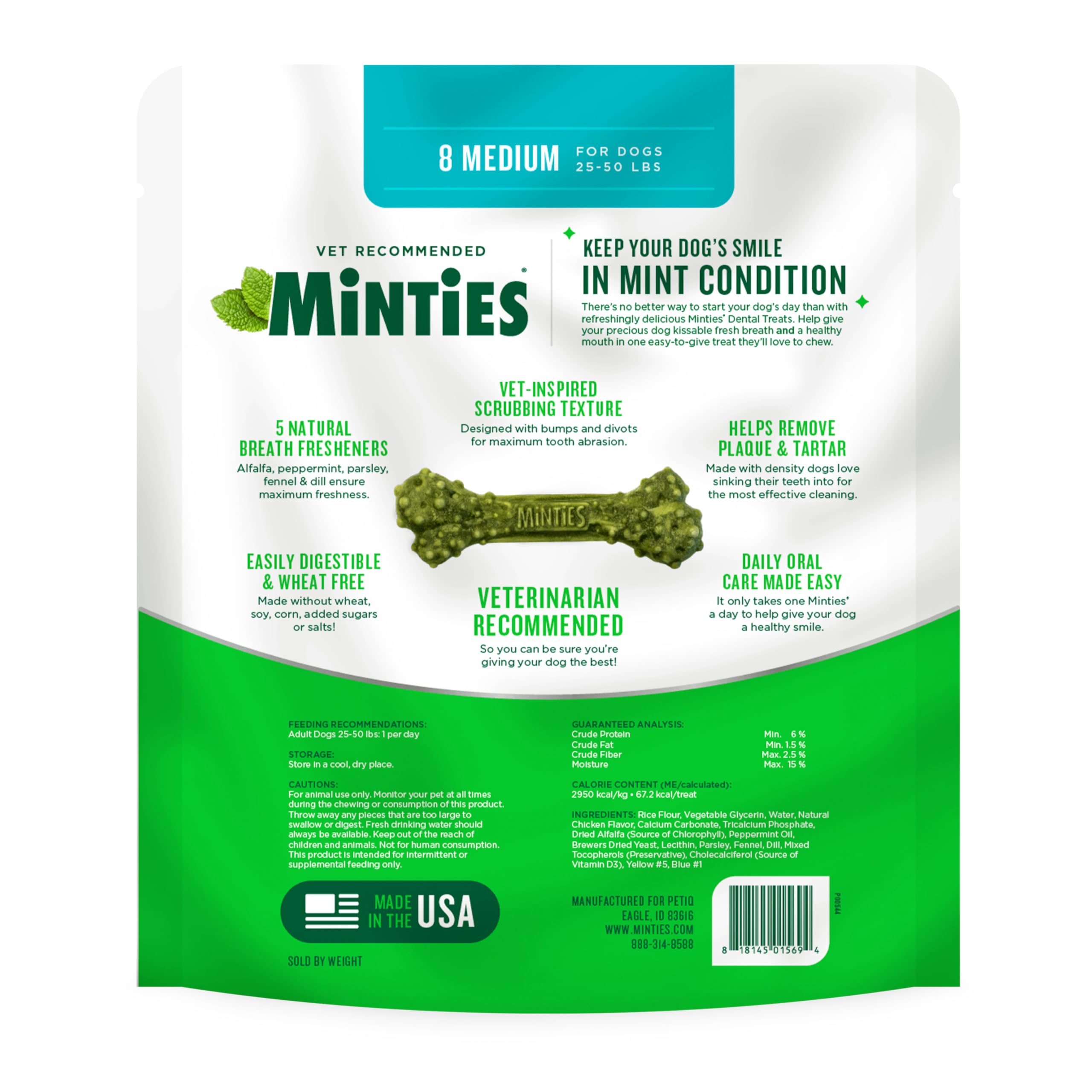 Chien moyen pesant 25 à 50 lb avec Minties lors de la mastication.