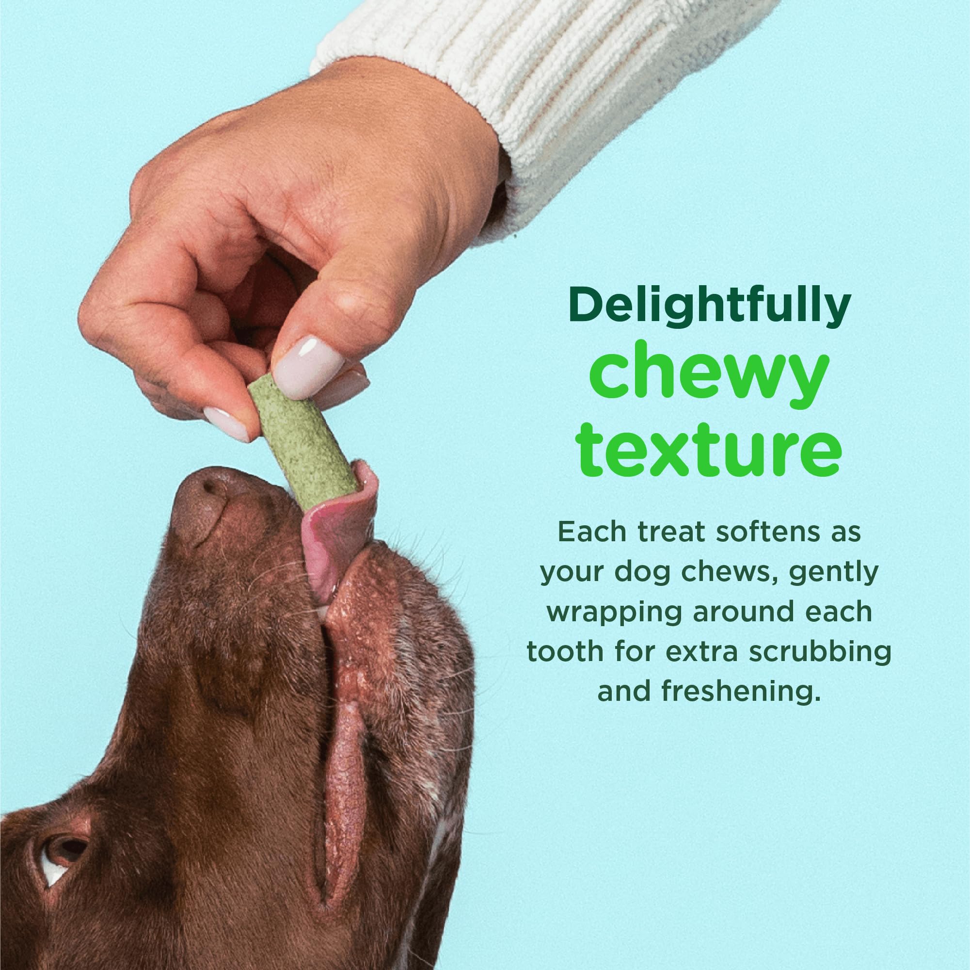 Minties FreshBites - ingrédients naturels, menthe et herbes pour neutraliser les odeurs.
