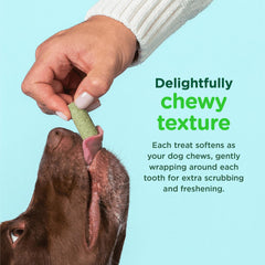Minties FreshBites - ingrédients naturels, menthe et herbes pour neutraliser les odeurs.