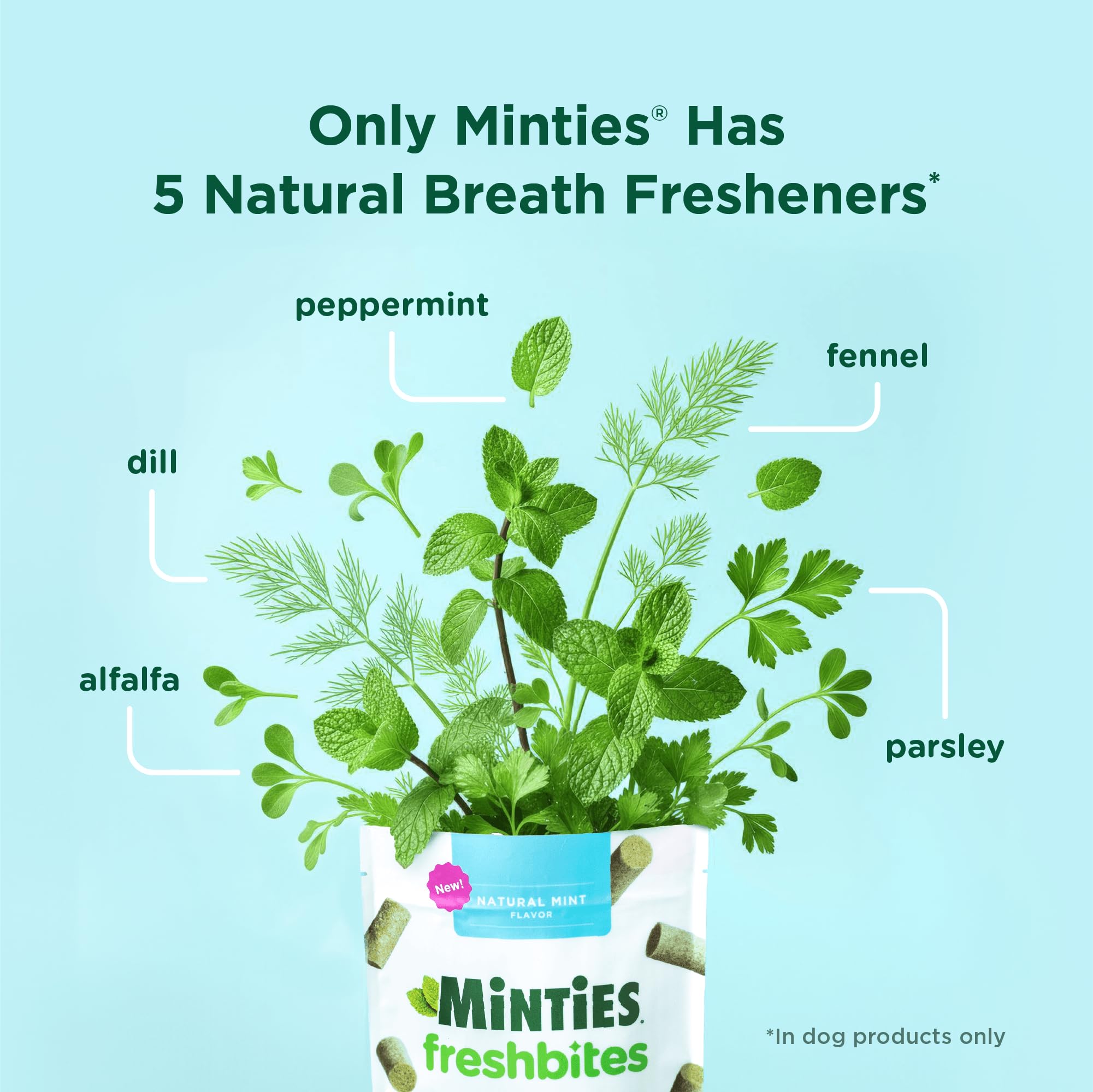 Minties FreshBites - sans blé, sans colorants, douceur adaptée estomacs sensibles.