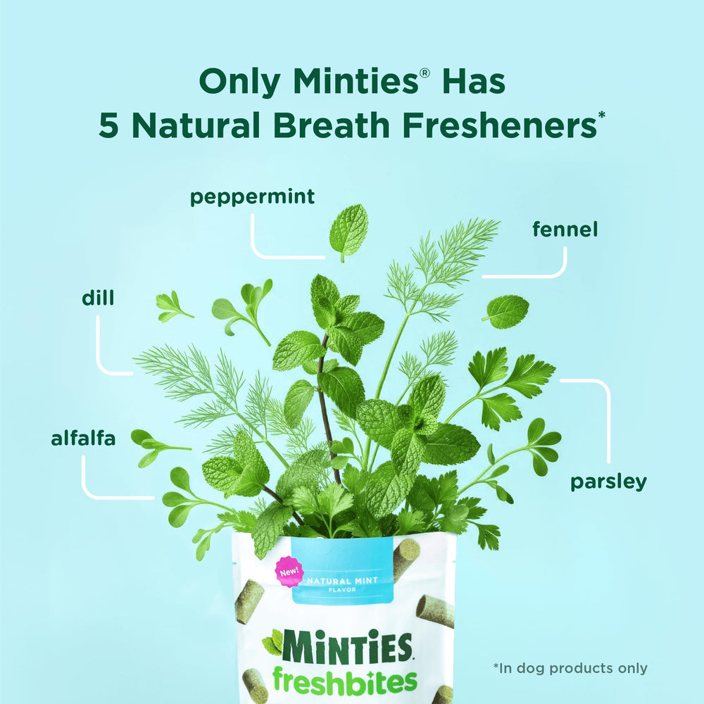 Saveur poulet naturel Minties FreshBites pour chiens gourmands.