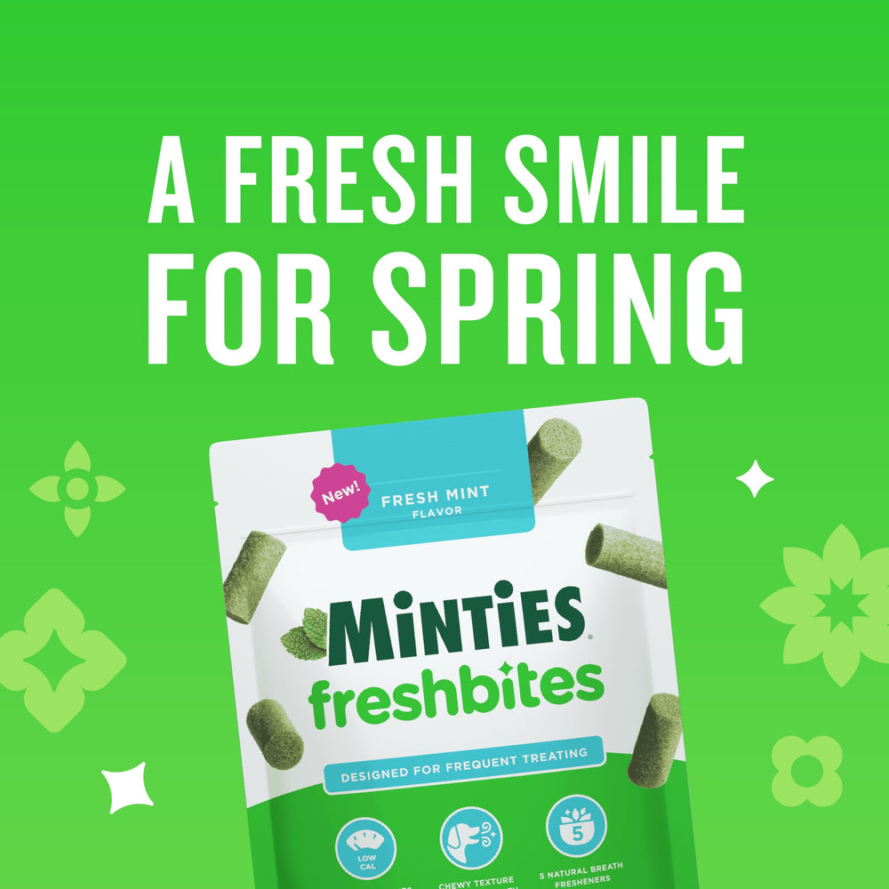 Minties FreshBites - texture molle visible, mastication efficace et haleine plus fraîche.