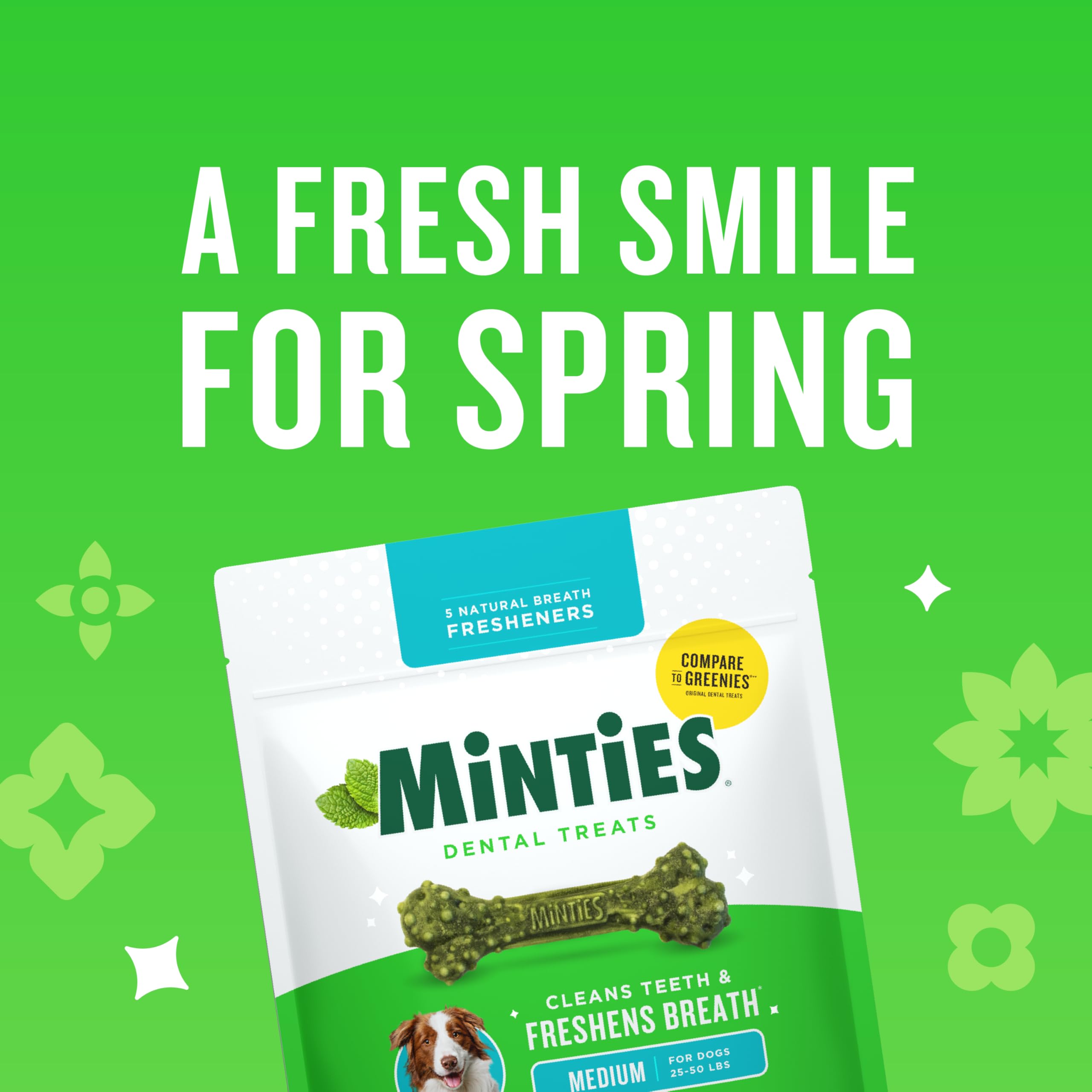 Minties friandise dentaire pour chien moyen, aide à maintenir une bouche propre.