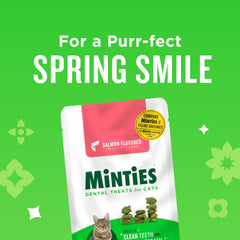 Minties haleine fraîche chat, arôme naturel en bouche.